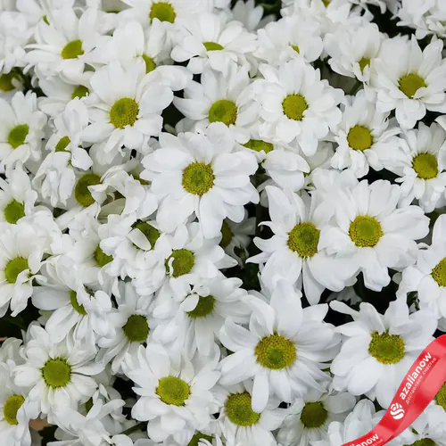 Фото 2: Огромный шикарный букет из 49 белых хризантем. Сервис доставки цветов AzaliaNow