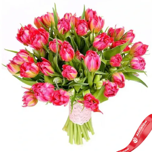 Фото 1: 29 пионовидных розовых тюльпанов, Голландия. Сервис доставки цветов AzaliaNow