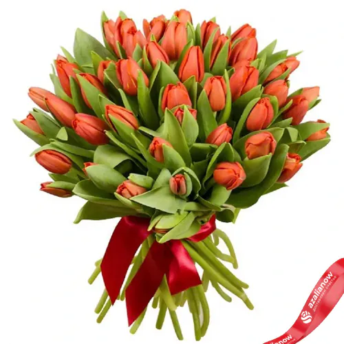 Фото 1: 31 алый и оранжевый тюльпан, Россия. Сервис доставки цветов AzaliaNow
