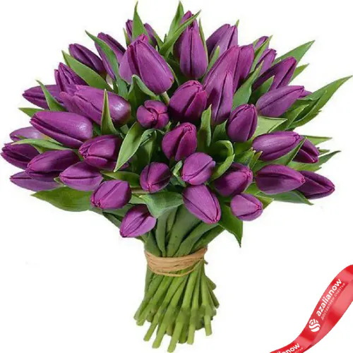 Фото 1: 31 фиолетовый тюльпан, Россия. Сервис доставки цветов AzaliaNow