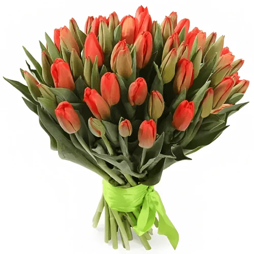 Фото 1: 31 красный тюльпан, Россия. Сервис доставки цветов AzaliaNow