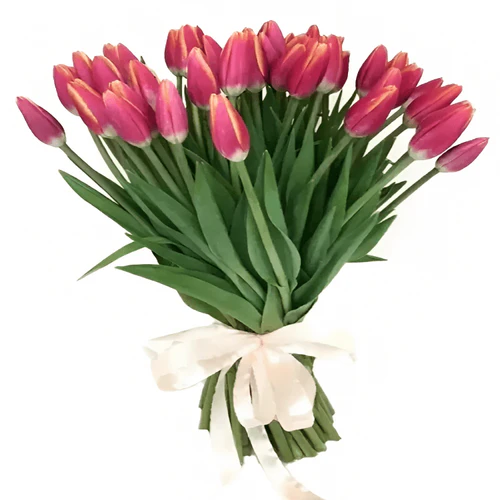 Фото 1: 29 малиново-красных тюльпанов Сортовые тюльпаны. Сервис доставки цветов AzaliaNow