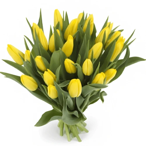 Фото 1: 31 желтый тюльпан, Россия. Сервис доставки цветов AzaliaNow