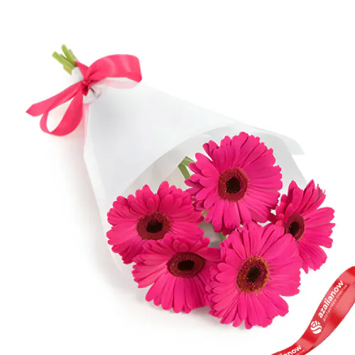 Фото 1: Букет из 5 розовых гербер в белой пленке. Сервис доставки цветов AzaliaNow