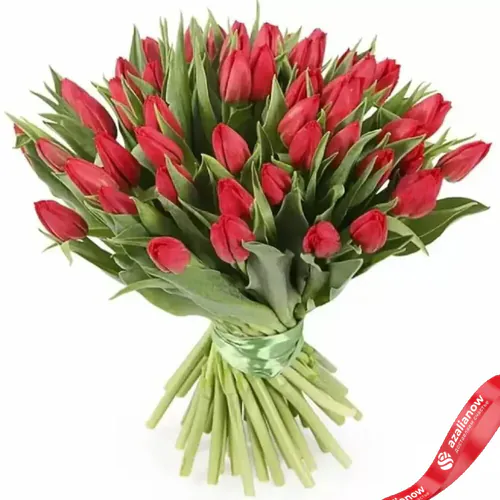 Фото 1: 51 алый тюльпан Сортовые тюльпаны. Сервис доставки цветов AzaliaNow