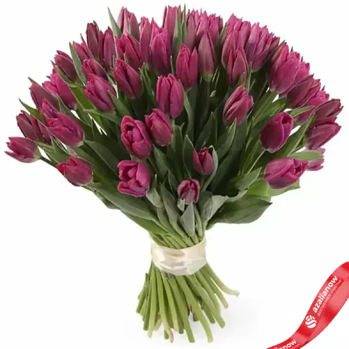 Фото 1: 51 чернильно-фиолетовый тюльпан, Россия. Сервис доставки цветов AzaliaNow