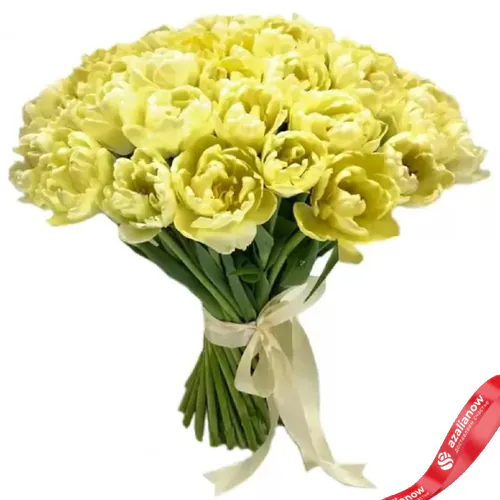 Фото 1: 51 пионовидный нежно-желтый тюльпан, Голландия. Сервис доставки цветов AzaliaNow
