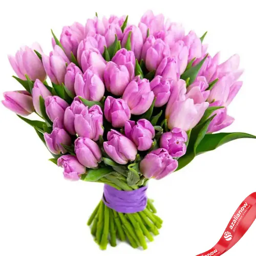 Фото 1: 51 сиреневый тюльпан Сортовые тюльпаны. Сервис доставки цветов AzaliaNow