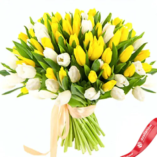 Фото 1: 51 желтый и белый тюльпан, Россия. Сервис доставки цветов AzaliaNow