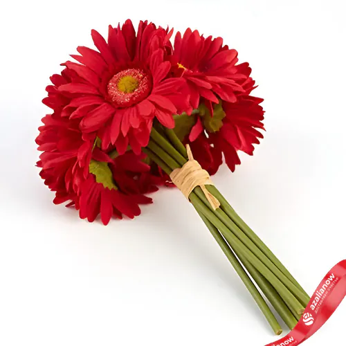 Фото 1: Букет из 7 красных гербер. Сервис доставки цветов AzaliaNow