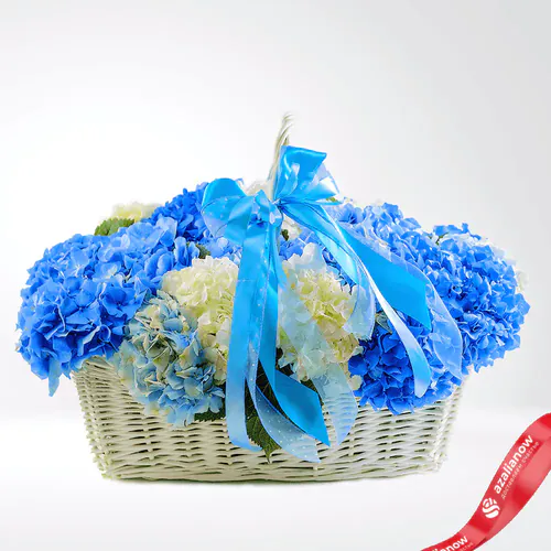 Фото 1: Букет из 5 белых и 8 синих гортензий «Церемония». Сервис доставки цветов AzaliaNow
