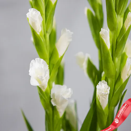Фото 1: Букет из 5 белых гладиолусов. Сервис доставки цветов AzaliaNow