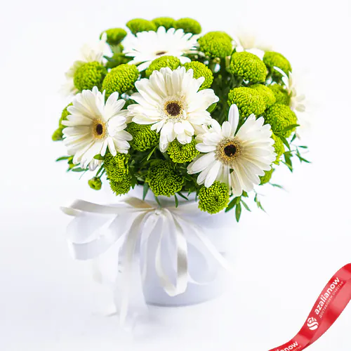 Фото 1: Букет из 7 белых гермини и 5 белых хризантем «Уютный вечер». Сервис доставки цветов AzaliaNow