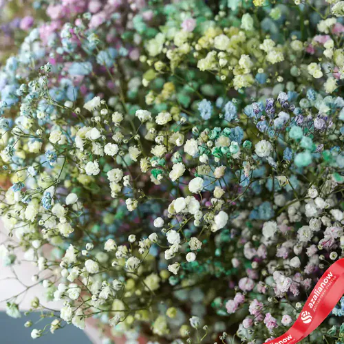 Фото 2: Букет из 15 радужных гипсофил «Моя вселенная». Сервис доставки цветов AzaliaNow