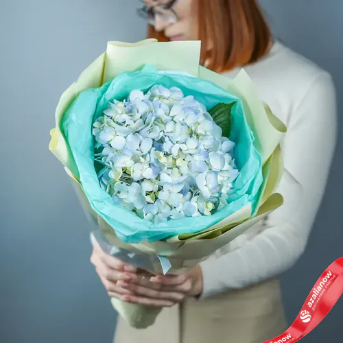 Фото 1: Букет из 3 цветов голубой гортензии «Воздушный рожок» (букет на рождение ребенка). Сервис доставки цветов AzaliaNow