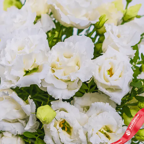 Фото 2: Акция! Букет из 9 белых лизиантусов «Даниэла». Сервис доставки цветов AzaliaNow