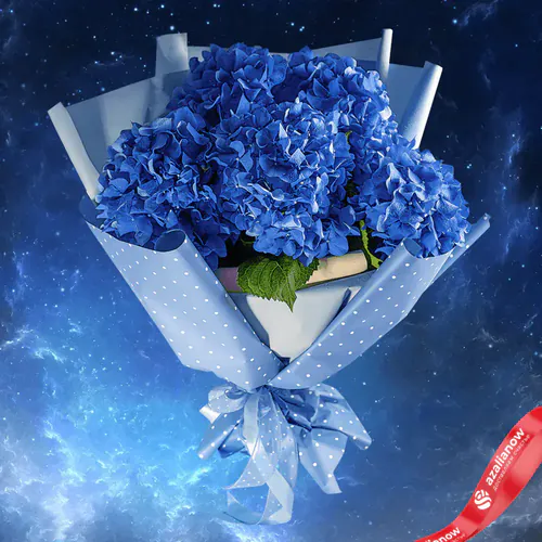 Фото 1: Букет из 5 гортензий «Синий космос». Сервис доставки цветов AzaliaNow