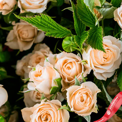 Фото 2: Букет из 19 кремовых роз «Ласточка». Сервис доставки цветов AzaliaNow