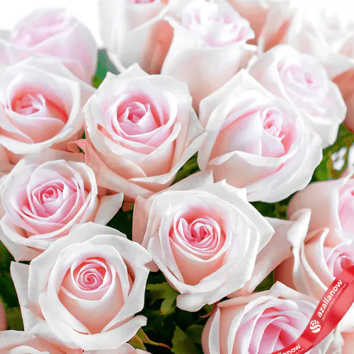Фото 2: Букет из 25 светло-розовых роз «Самая нежная». Сервис доставки цветов AzaliaNow