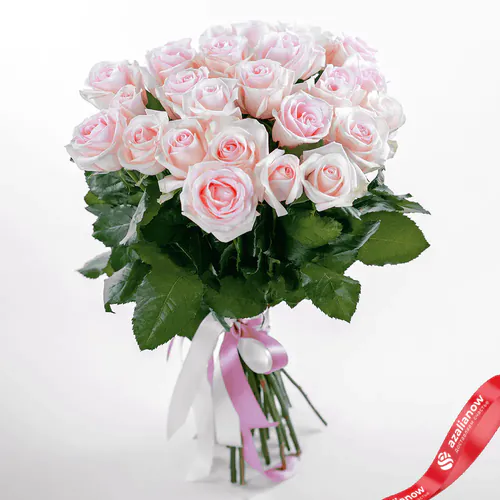 Фото 1: Букет из 25 светло-розовых роз «Самая нежная». Сервис доставки цветов AzaliaNow