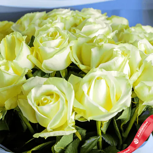 Фото 2: Букет из 25 белых роз «Смысл». Сервис доставки цветов AzaliaNow