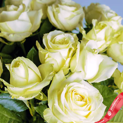 Фото 2: Букет из 25 белых роз «Спокойствие». Сервис доставки цветов AzaliaNow