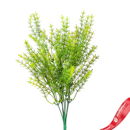 Фото 1: Аспарагус Искусственный на вставке 35 см Зеленый. Сервис доставки цветов AzaliaNow