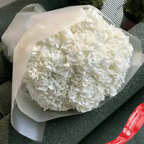 Фото 1: Букет из 9 белых гортензий в белой бумаге. Сервис доставки цветов AzaliaNow