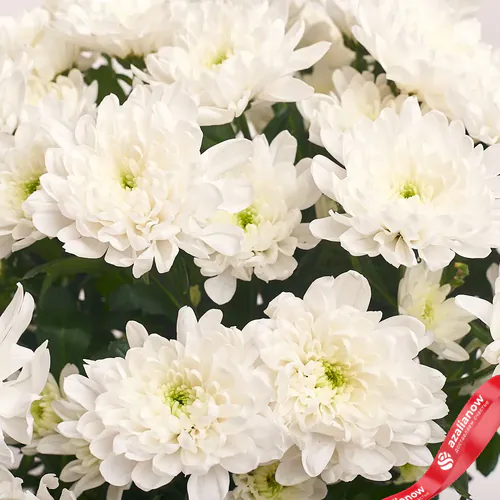 Фото 3: Букет из 11 кустовых белых хризантем в крафте «Веселый смех». Сервис доставки цветов AzaliaNow