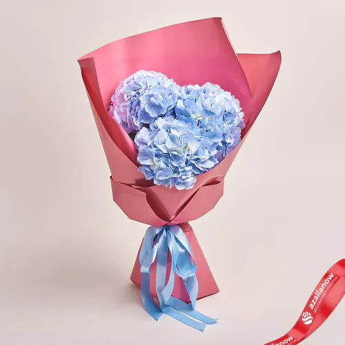 Фото 1: Букет из 3 голубых гортензий в розовой бумаге. Сервис доставки цветов AzaliaNow
