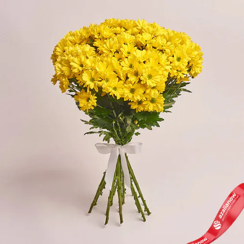 Фото 1: 15 кустовых желтых хризантем, Голландия. Сервис доставки цветов AzaliaNow