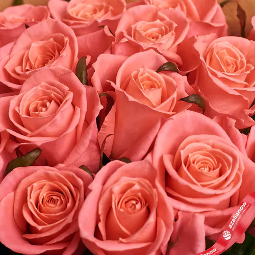 Фото 3: Букет из 15 коралловых роз в розовой пленке. Сервис доставки цветов AzaliaNow