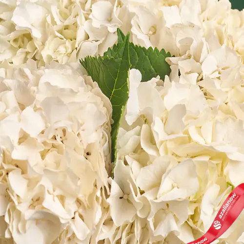 Фото 3: Букет из 5 белых гортензий в зеленой бумаге «Из цветочков и звоночков». Сервис доставки цветов AzaliaNow