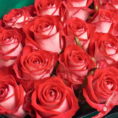 Фото 3: Букет из 11 красных роз в серой пленке. Сервис доставки цветов AzaliaNow