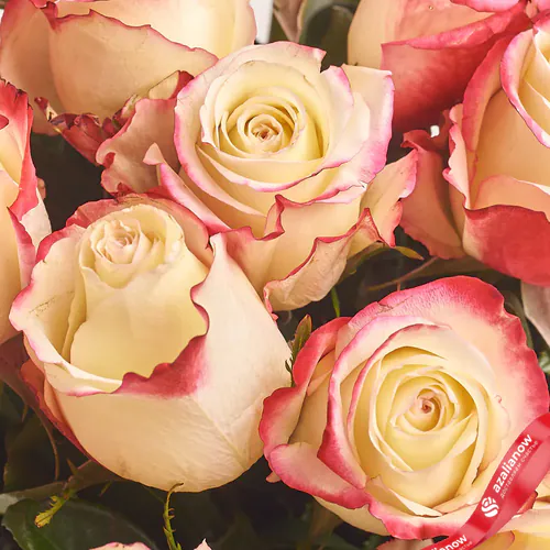 Фото 3: Букет из 11 розовых роз в пленке «Не грусти, улыбнись». Сервис доставки цветов AzaliaNow