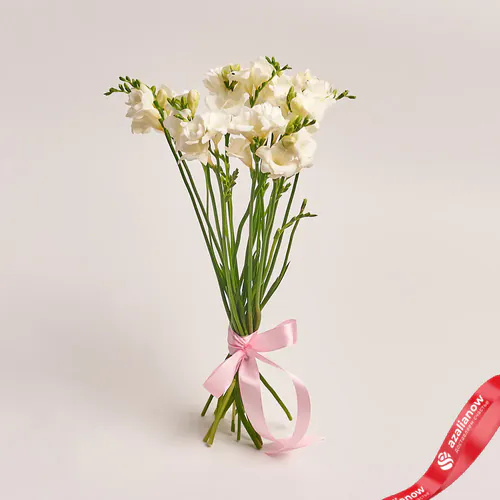 Фото 1: 15 белых фрезий, Голландия. Сервис доставки цветов AzaliaNow