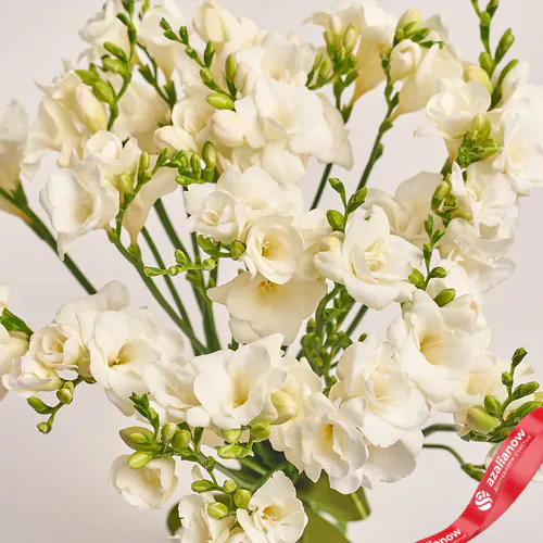 Фото 3: Букет из 25 белых фрезий в крафте с лентой. Сервис доставки цветов AzaliaNow