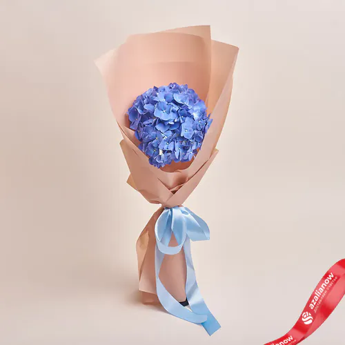 Фото 1: Букет из синей гортензии в бежевой пленке (монобукеты)). Сервис доставки цветов AzaliaNow