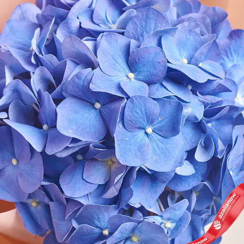 Фото 3: Букет из синей гортензии в крафте. Сервис доставки цветов AzaliaNow