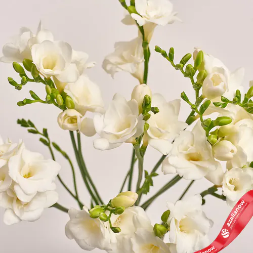 Фото 3: Букет из 11 белых фрезий в крафте. Сервис доставки цветов AzaliaNow