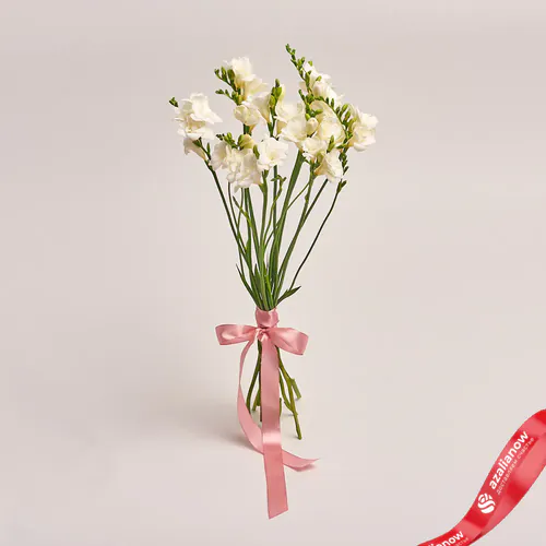 Фото 1: 11 белых фрезий, Голландия. Сервис доставки цветов AzaliaNow