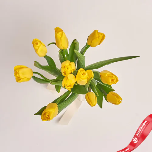 Фото 2: 11 желтых тюльпанов, Россия. Сервис доставки цветов AzaliaNow