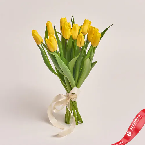 Фото 1: 11 желтых тюльпанов, Россия. Сервис доставки цветов AzaliaNow