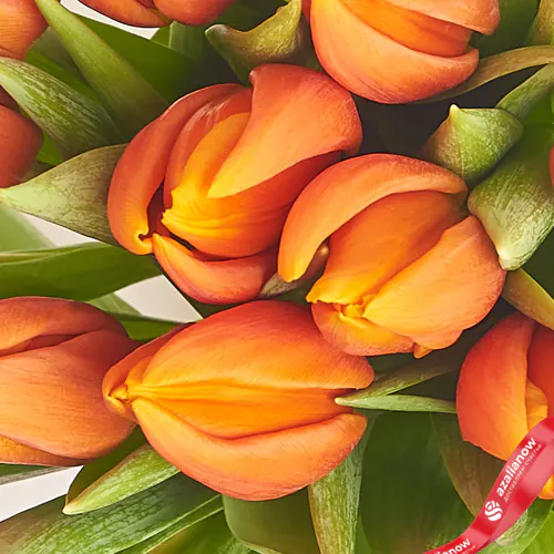 Фото 3: Букет из 11 оранжевых тюльпанов в фиолетовой пленке. Сервис доставки цветов AzaliaNow