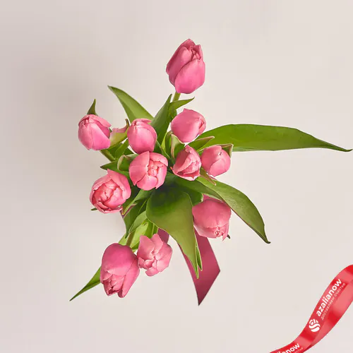 Фото 2: 11 розовых тюльпанов с лентой, Россия. Сервис доставки цветов AzaliaNow