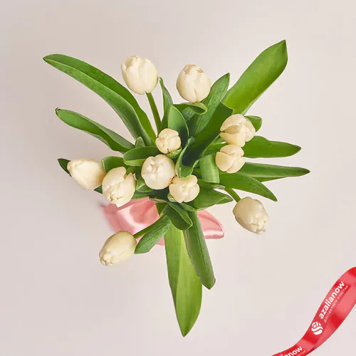 Фото 2: 11 белых тюльпанов, Россия. Сервис доставки цветов AzaliaNow