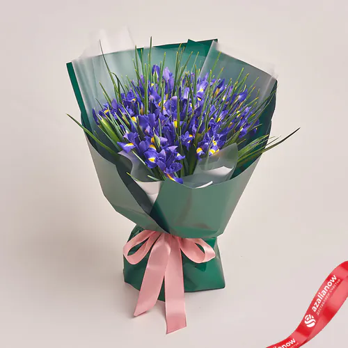 Фото 1: Букет из 51 фиолетового ириса в зеленой упаковке. Сервис доставки цветов AzaliaNow
