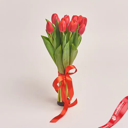 Фото 1: 11 красных тюльпанов. Сервис доставки цветов AzaliaNow