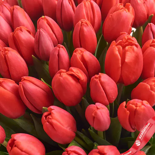Фото 3: 11 красных тюльпанов с красной лентой, Россия. Сервис доставки цветов AzaliaNow