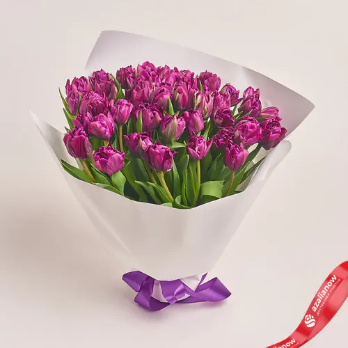 Фото 1: Букет из 51 пионовидного фиолетового тюльпана в белой бумаге. Сервис доставки цветов AzaliaNow